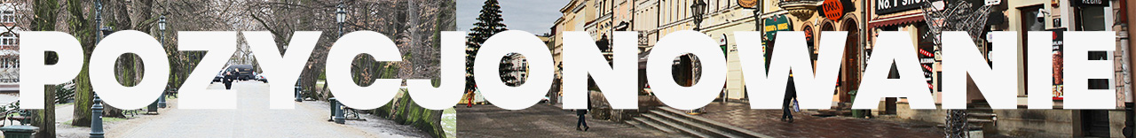 pozycjonowanie w Rzeszowie